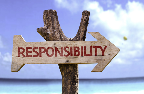 Responsibility